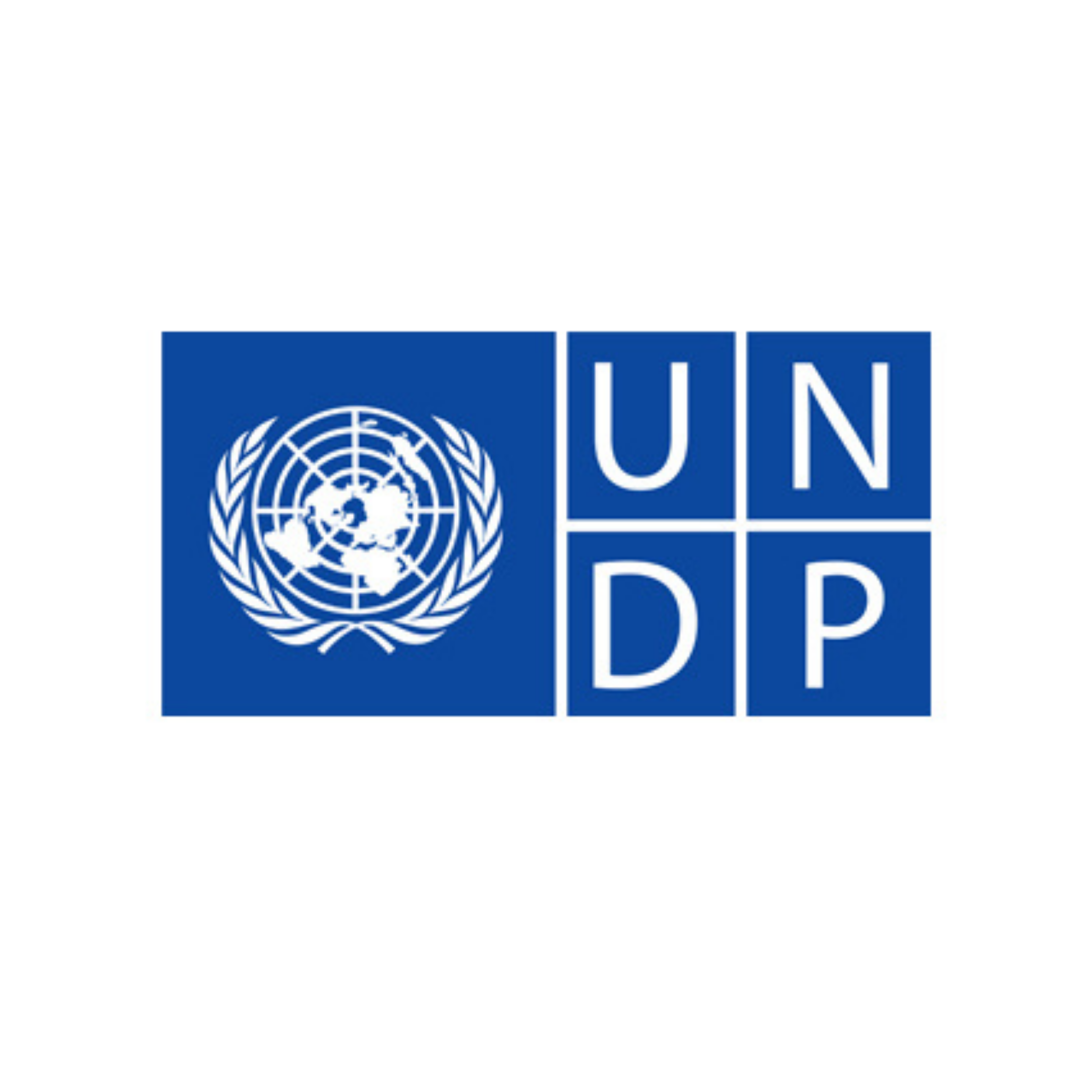 United Nations Development Programme